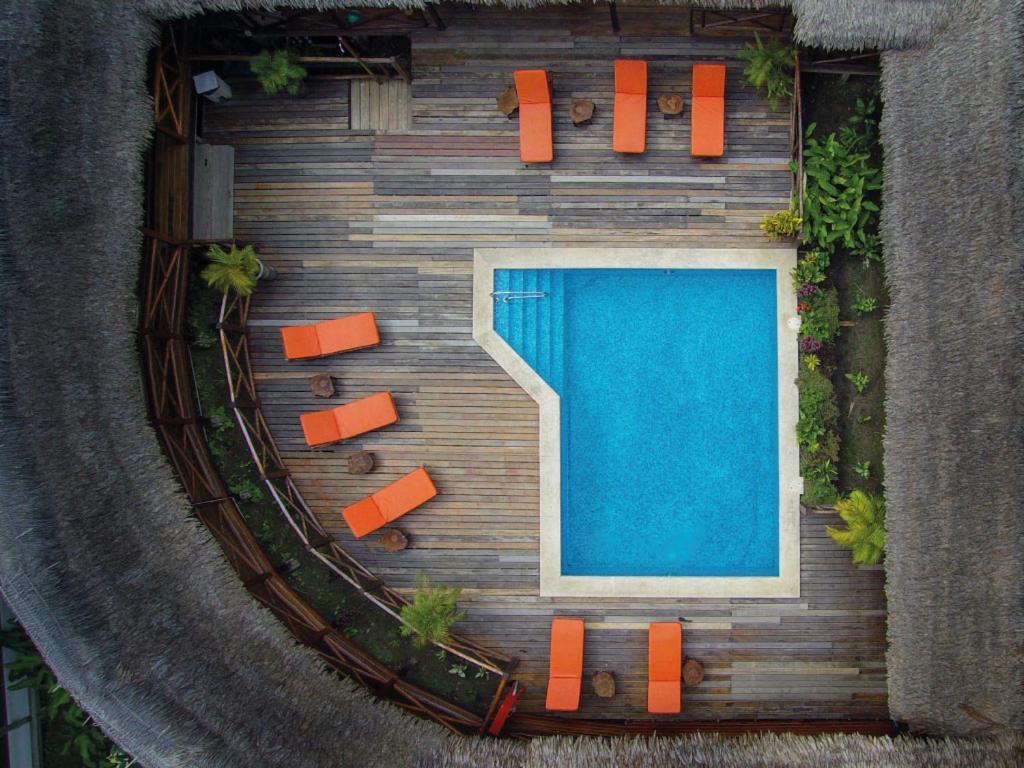 Heliconia Amazon River Lodge Франциско-де-Орельяна Экстерьер фото